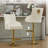 Jakhai Swivel Adjustable Height  Bar Stool with Metal Frame-586824230-586824229
