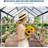 6x8 FT Walk-In Polycarbonate Greenhouse, Aluminum Frame with Roof Vent, Lockable Push Door & Ground Nails, for Backyard, Garden or Lawn - Black