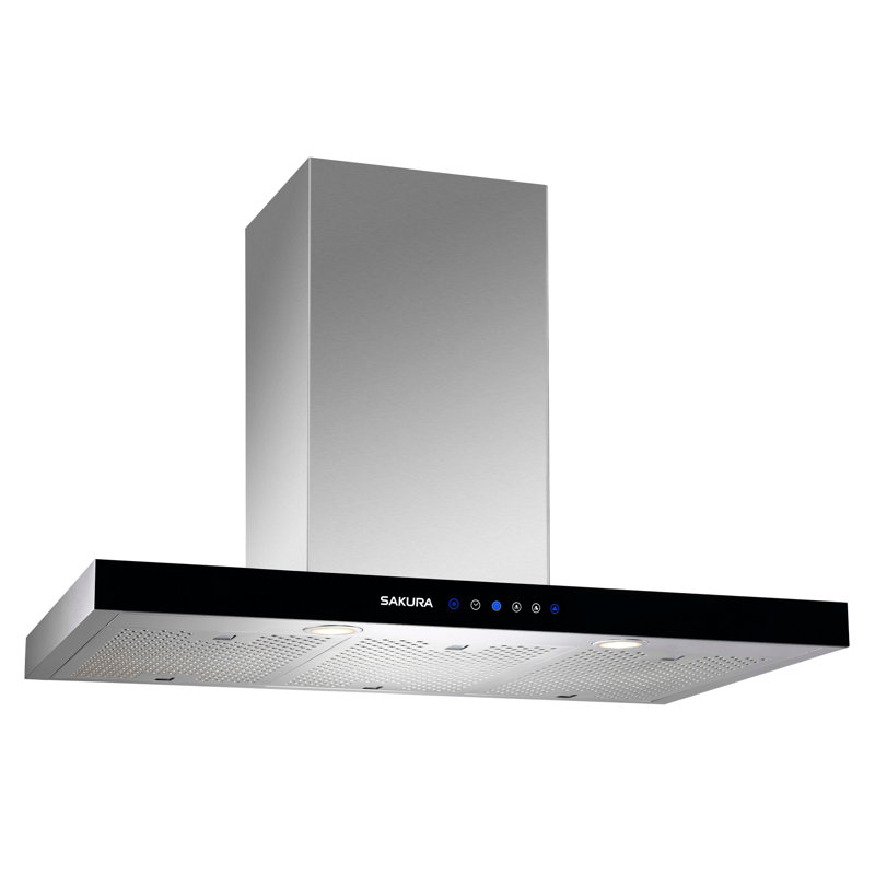 Hotte murale 29,75 "850 CFM à conduit en acier inoxydable