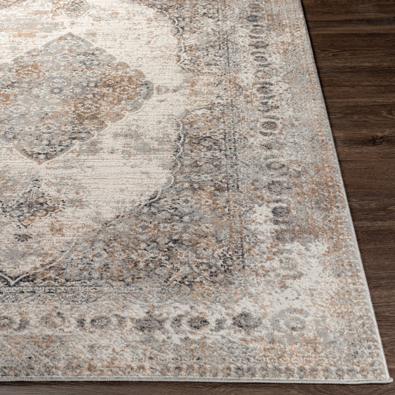 Burkittsville Oriental Indoor Rug, Rectangle 5'3" x 7'