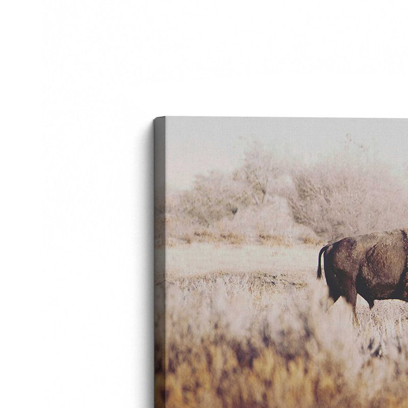 Lone Ranger, Large Canvas Print, 36" H x 54" W