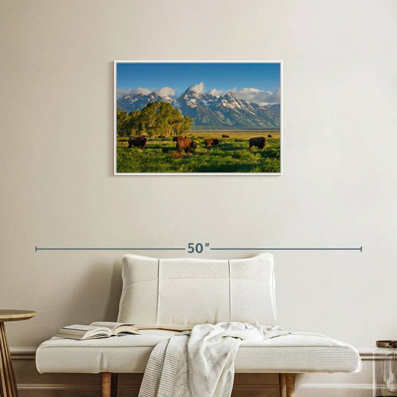 Bison de Grand Teton, Cadre flottant blanc, 31 po x 21 po