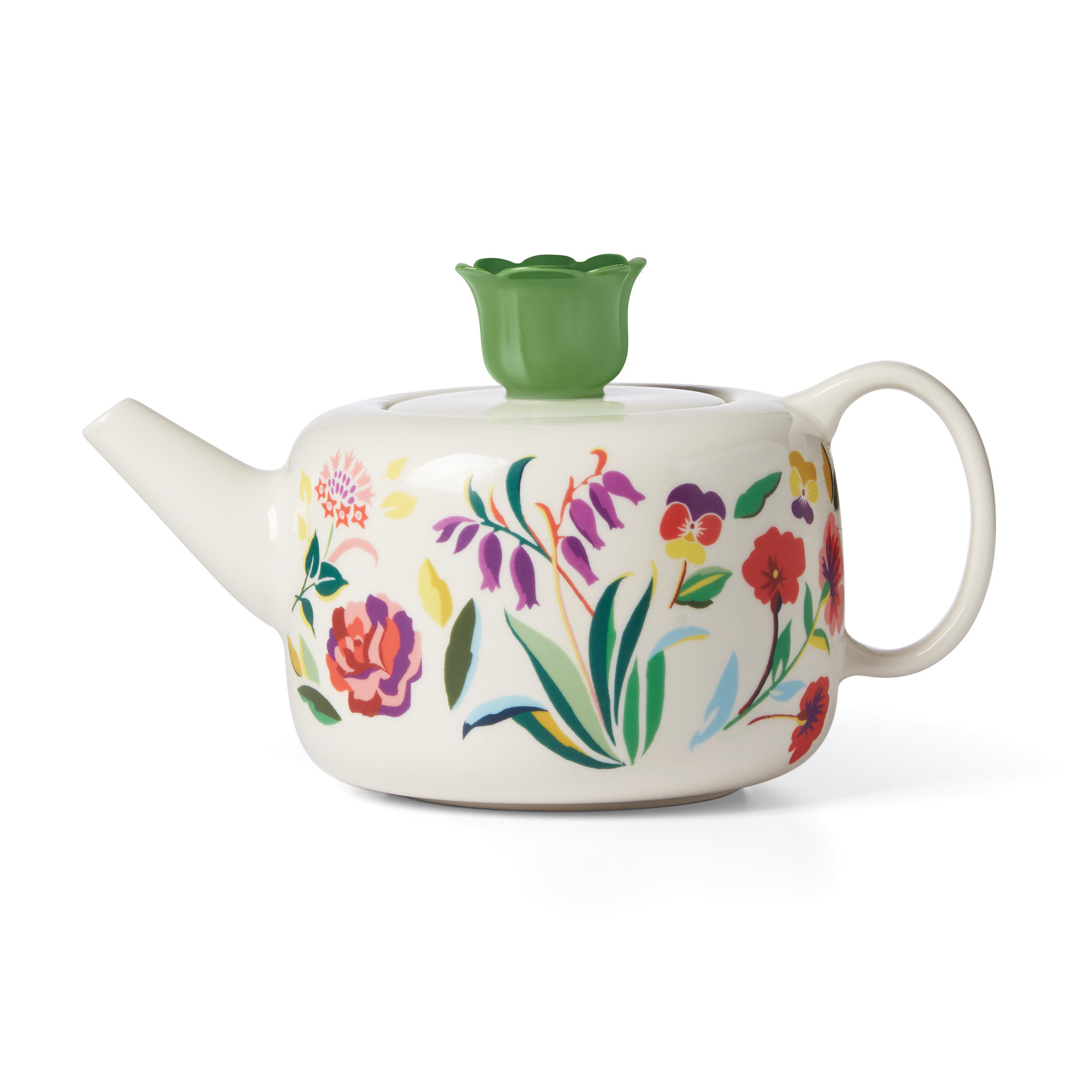 https://assets.wfcdn.com/im/85445516/compr-r85/2225/222557537/ks-garden-floral-teapot.jpg
