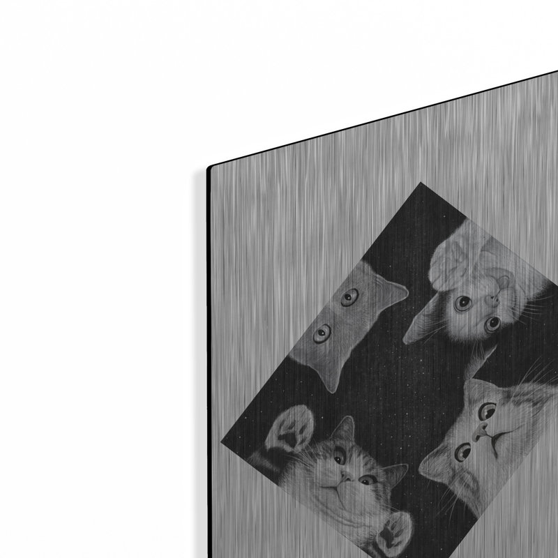 Art mural en métal luxueux «When You Are Kitten» par Tummeow, 24 po x 36 po, H 16 po x l 12 po