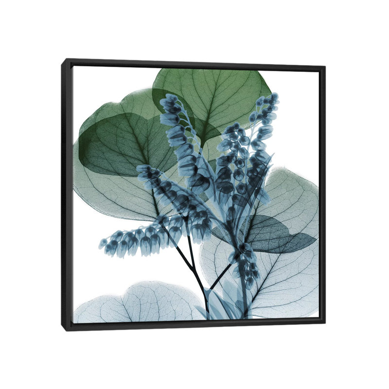 «Lilly of Eucalyptus II» par Albert Koetsier, reproduction sur toile tendue sur châssis, H 18 po x l 18 po x P 1,5 po