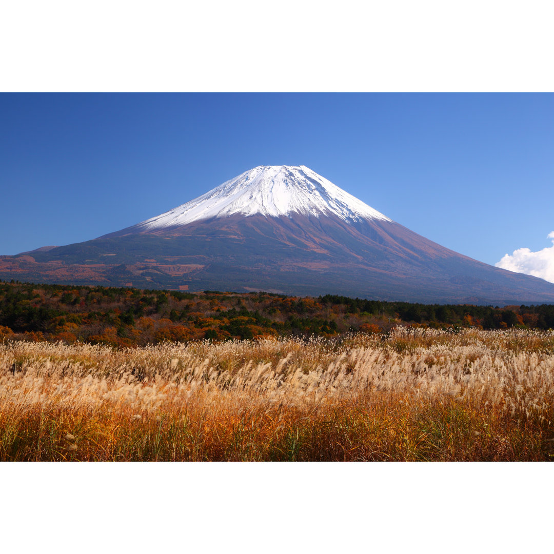 Mt. Fuji von Noririn - Kunstdrucke auf Leinwand