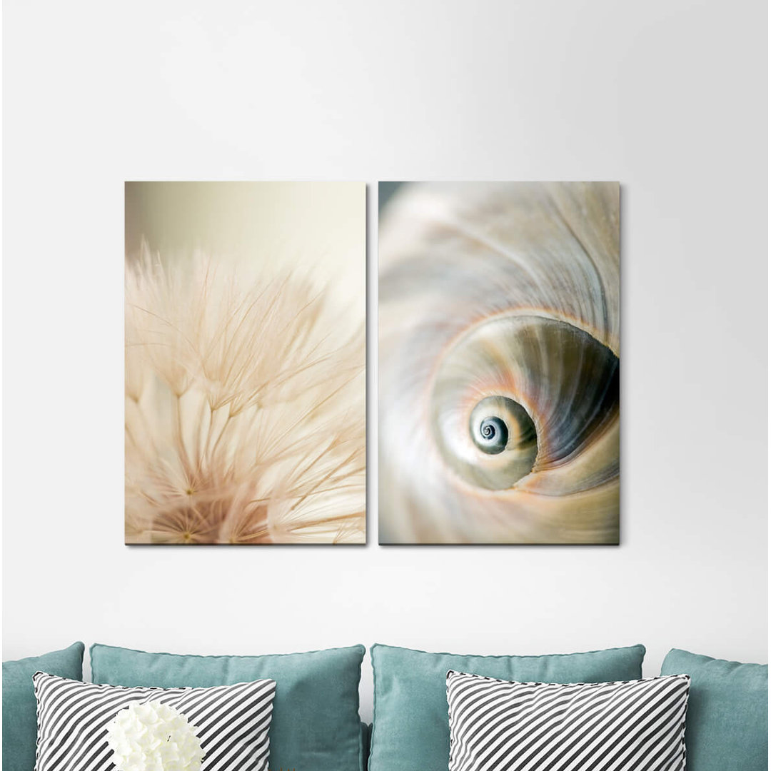 2-tlg. Leinwandbilder-Set - Fotografie „Blowball Snail Shell Spiral White Lightness Soft Fluffy”