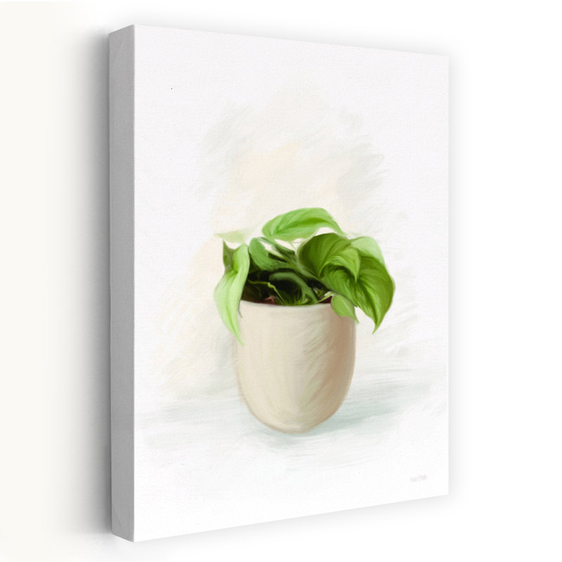 «Everyday Plants I», plante contemporaine, H 24 po x l 16 po