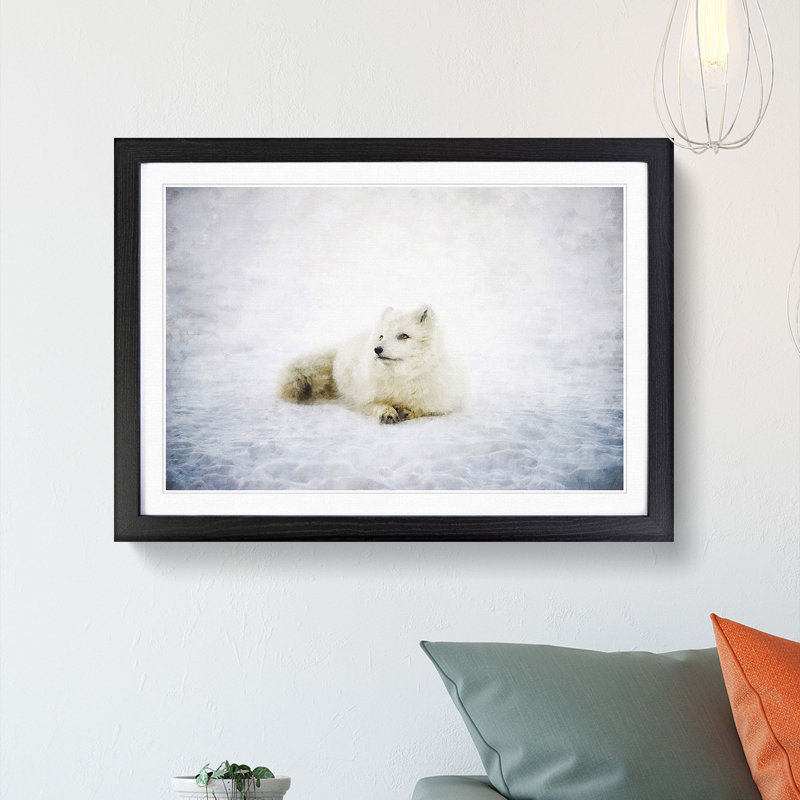 Resting Arctic Fox - Framed Print, 33cm H x 45cm W x 2cm D, Black Framed