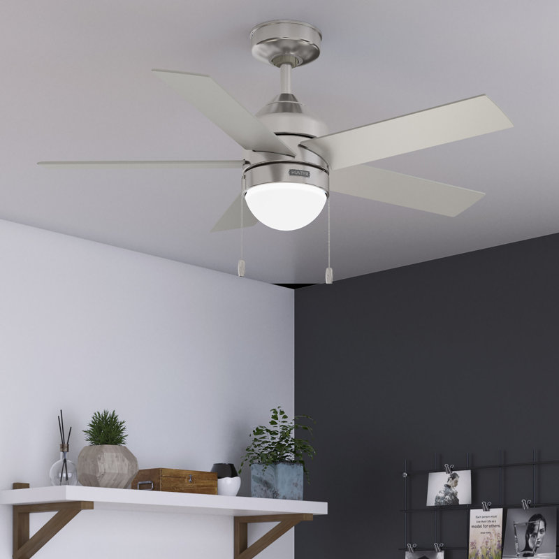 44" Rogers 5 - Blade Standard Ceiling Fan with Lights, Brushed Nickel