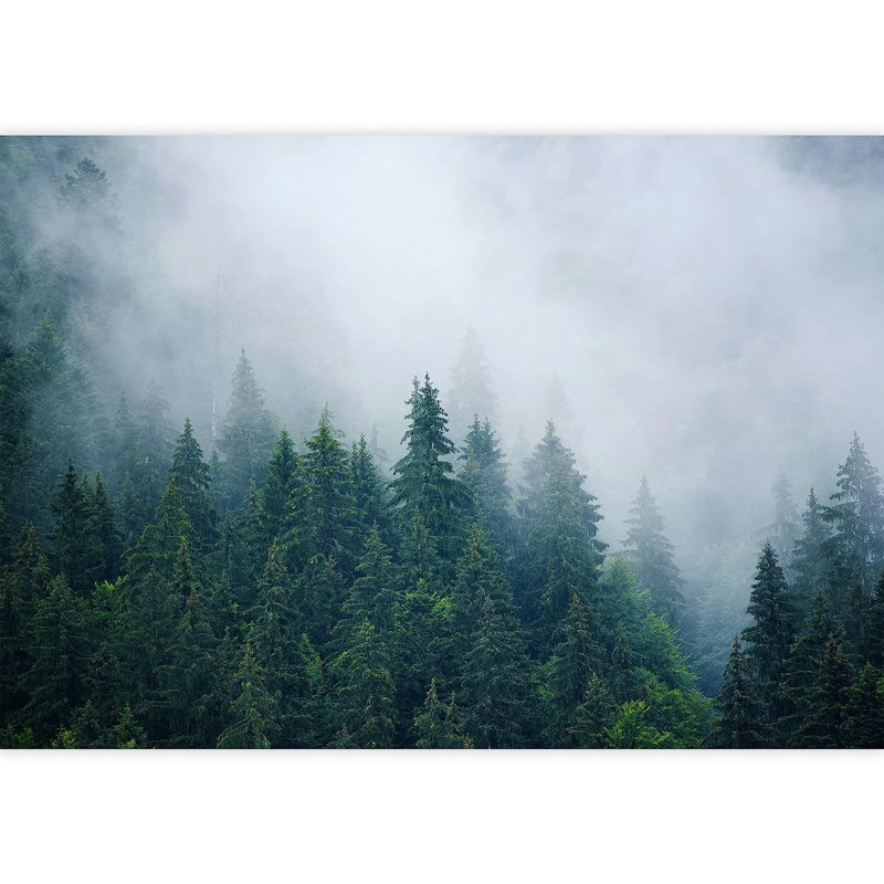 Murale pin brumeux Misty Mountain, L 66 po x l 96 po