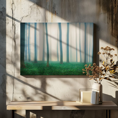 1 Piece Wrapped Canvas Wall Art