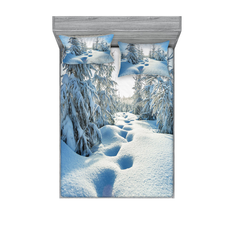 Drap-housse et coussin décoratif Ambesonne, Ensemble de draps pour grand lit + 5 pièces suppl