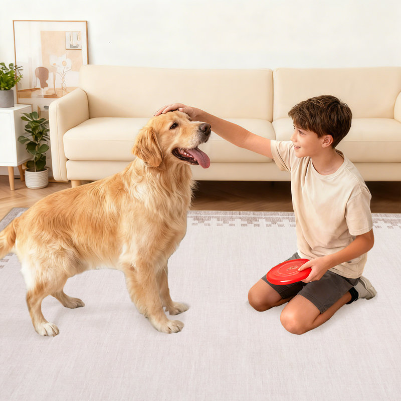 Area Rug, Beige, 240*340cm