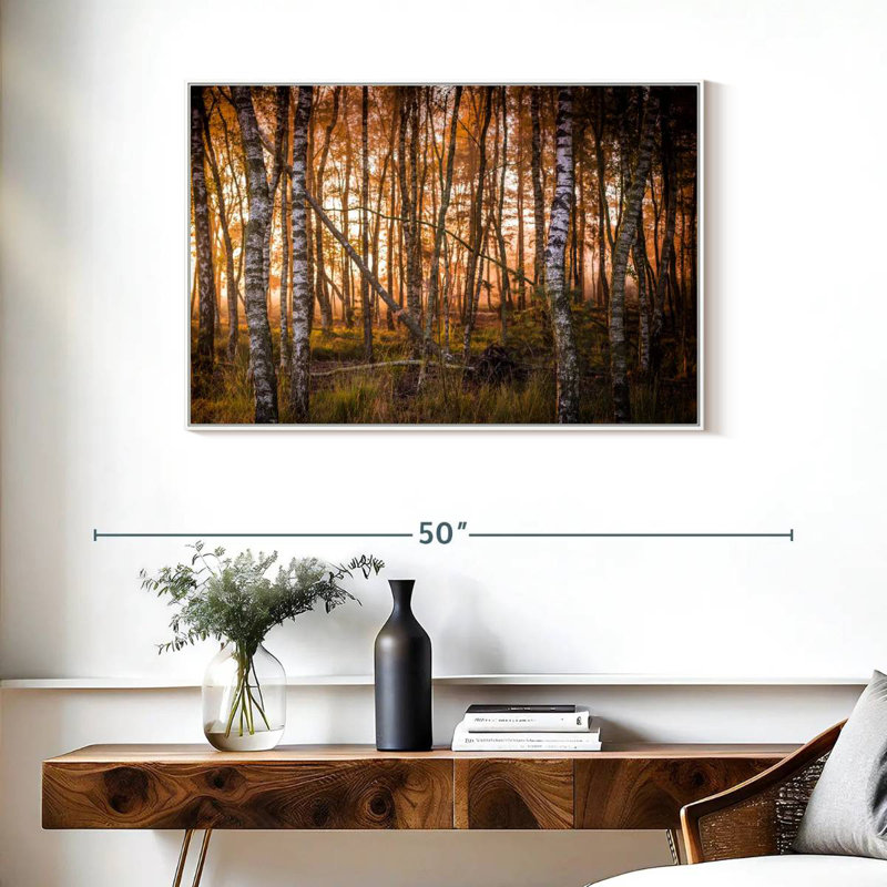 Forêt de bouleaux sombre, Cadre flottant blanc, 37 po x 25 po