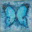 Blue Butterfly Framed Print Canvas