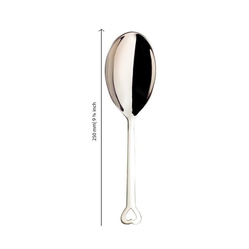 EVENTO Stainless Steel Specialty Spoon