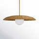 Single Light Rattan Steel Dimmable Pendant