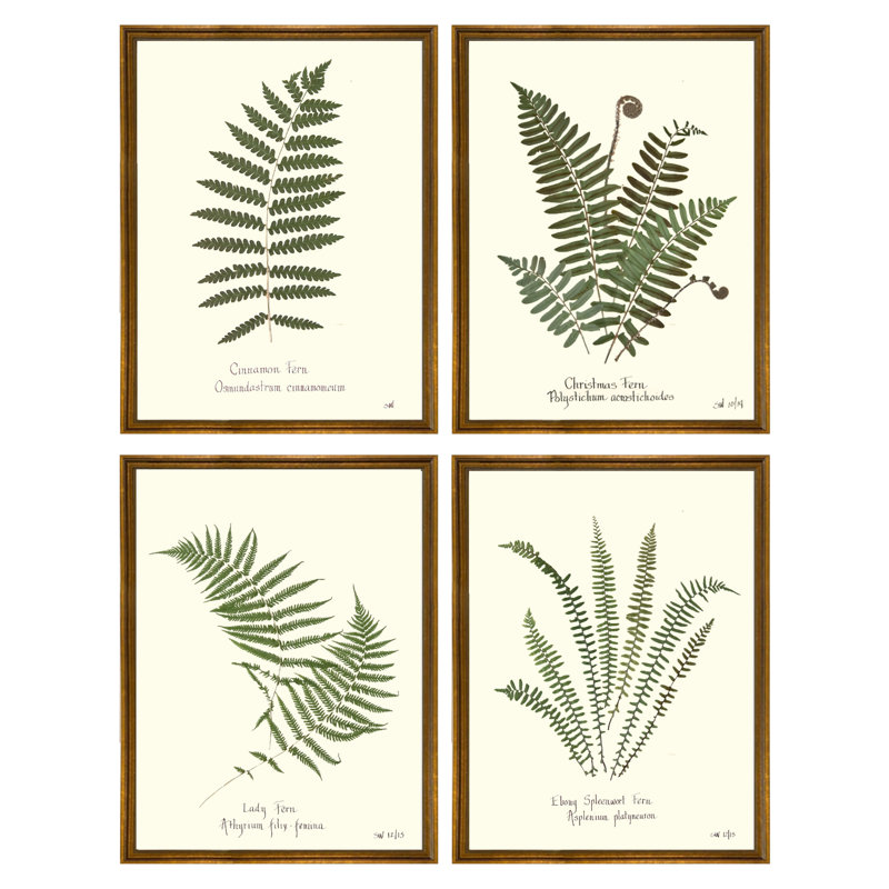 Plants & Flowers Set by Sandy Whitaker