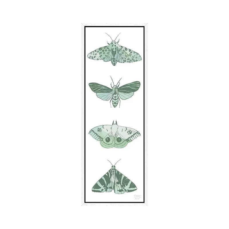 Four Moths - Panoramic Print on Canvas, 121.92cm H x 40.64cm W x 3.81cm D, White Floater Framed