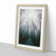 Down the Forest Path in Abstract - Picture Frame Painting Print-55545846-55545847