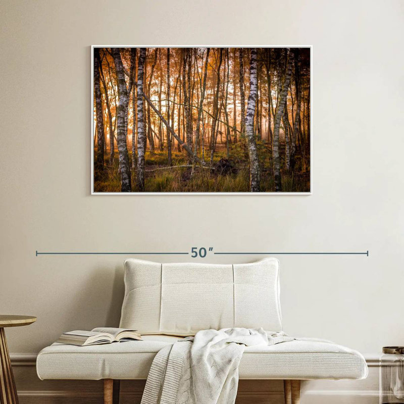 Forêt de bouleaux sombre, Cadre flottant blanc, 40 po x 27 po