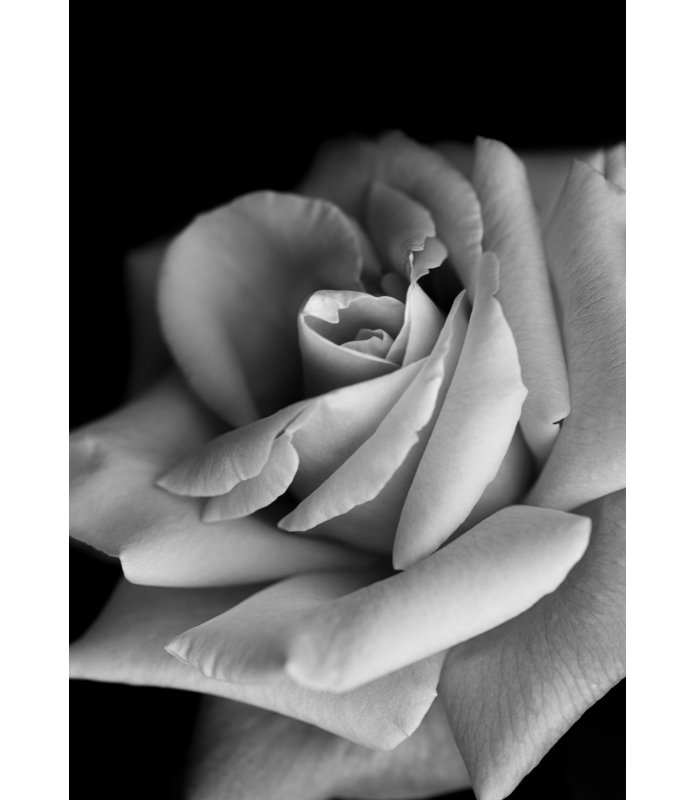 Wrapped Canvas Print, 60.96 cm H x 91.44 cm W