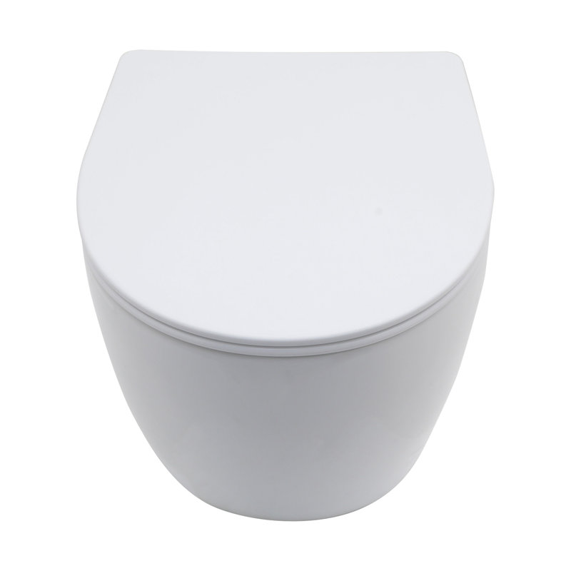 Toilette murale une pièce Rainlex RX-T39W