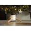 Family Live Tree Stand-91464967-63765623