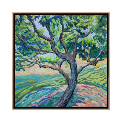 An Apricot Tree