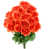 Corail est en rupture de stock