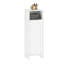Freestanding Bathroom Cabinet