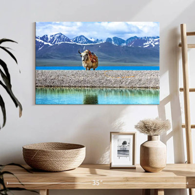 Yak dans le lac Namtso