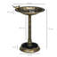 Plastic Stake Birdbath