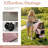Foldable Pet Stroller-130415740