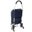 Chariot pliable avec roues triangulaires et sac imperméable amovible-113272983