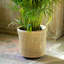 La Boheme Rattan Planter