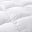 Édredon en duvet d'oie 800-1816770814
