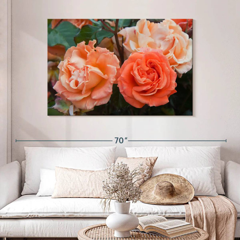 Roses hybrides orange Harnek, H 32 po x l 48 po