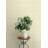 Auberge Ivory Plaid Wallpaper-596308918