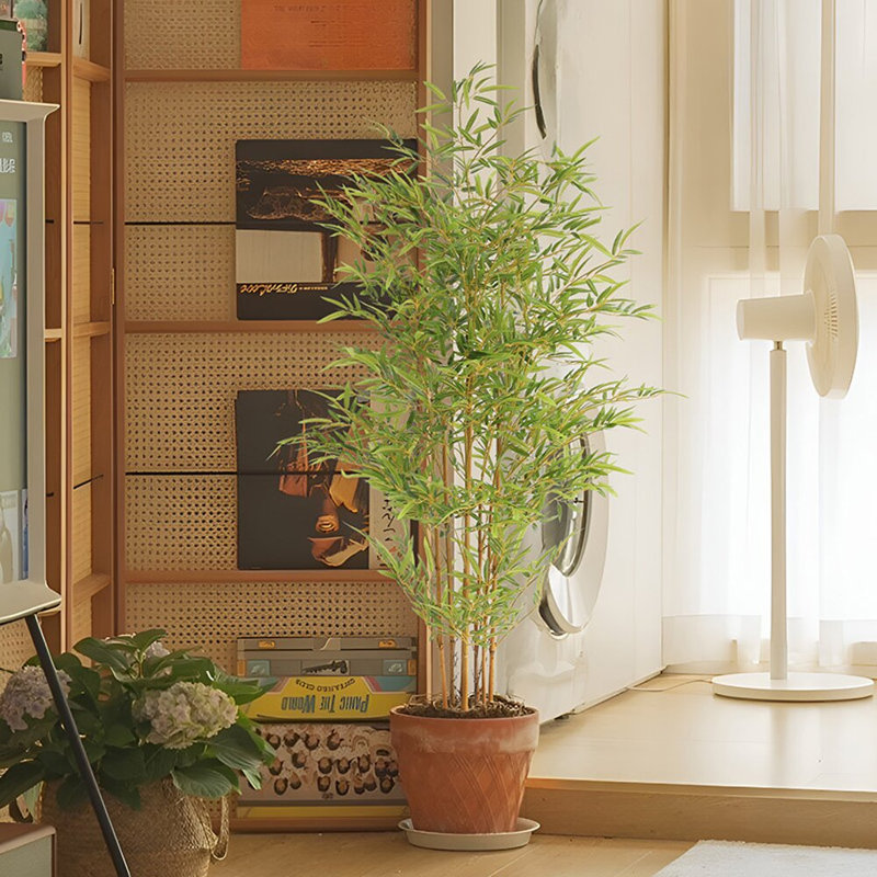 Faux Bonsai Plant in Freestanding, 90H