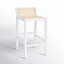 McCarthy Cane Bar & Counter Stool-1825297041-1778590056