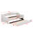 Upholstered Daybed With LED Belt And Trundle-743968745