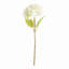 TIGES HYDRANGEA 18 po, ENSEMBLE DE 6-675795762