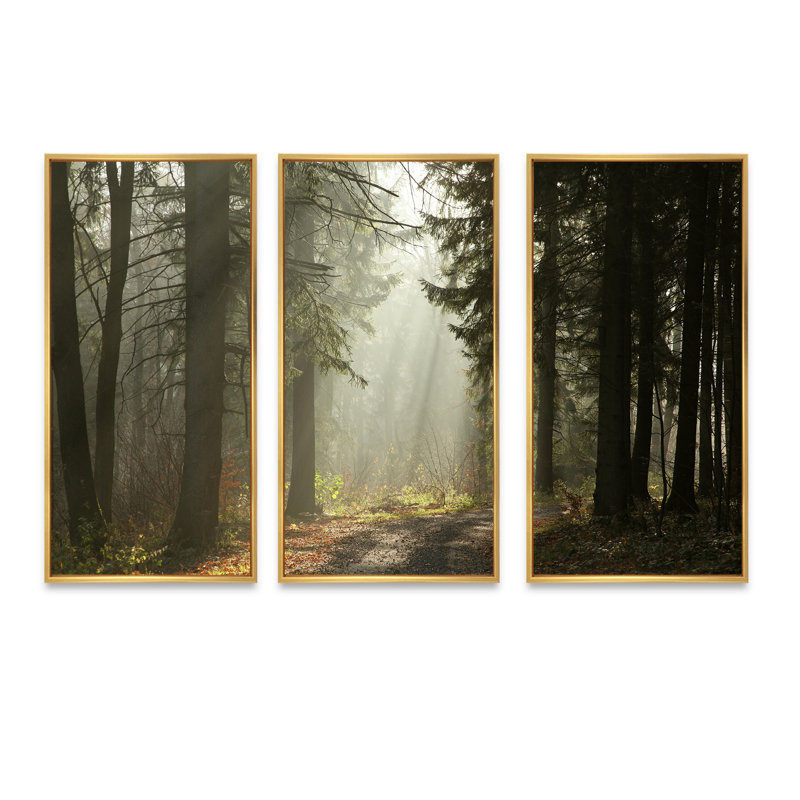 Forêt vert foncé avec rayons de soleil - ensemble d'art mural sur toile encadré paysage, Cadre doré