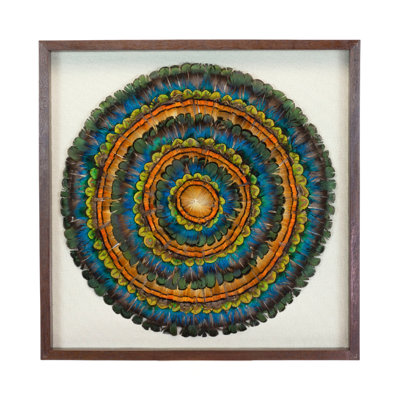 Mixed Pheasant Feather Framed Wall Art