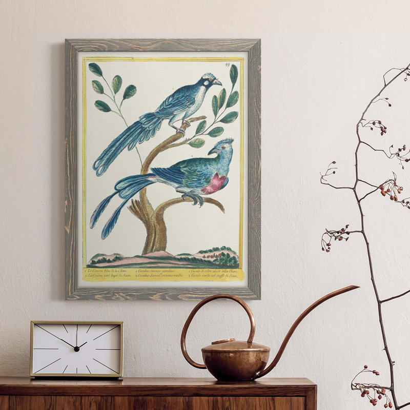 Toile encadrée Pastel Birds VI Premium - prête à être accrochée, Gris, H 44 po x l 31 po x P 1 po