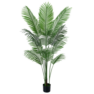 160cm Plant