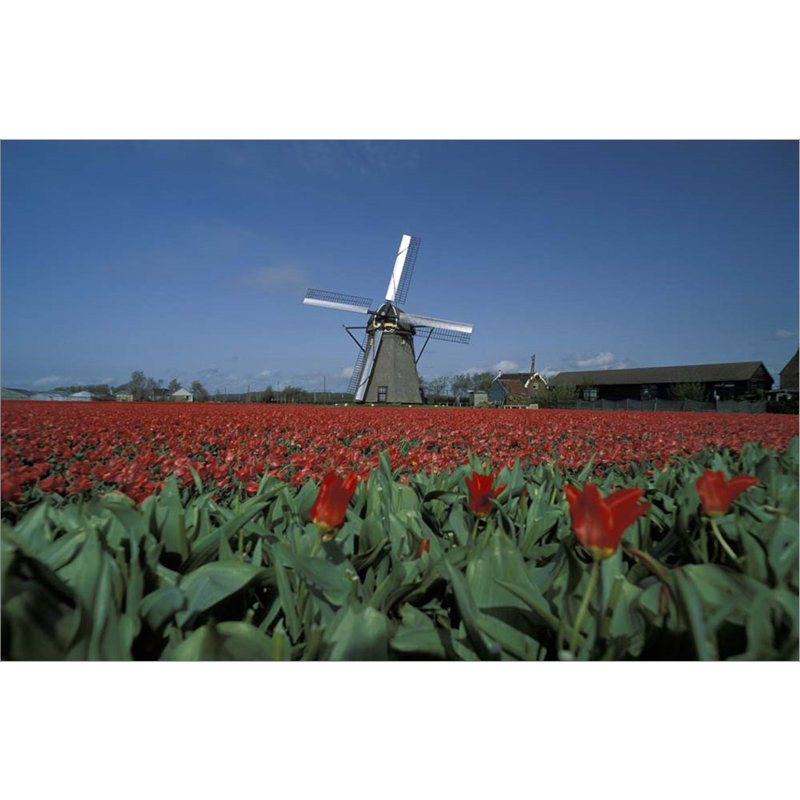 Décoration murale moulin à vent Amsterdam