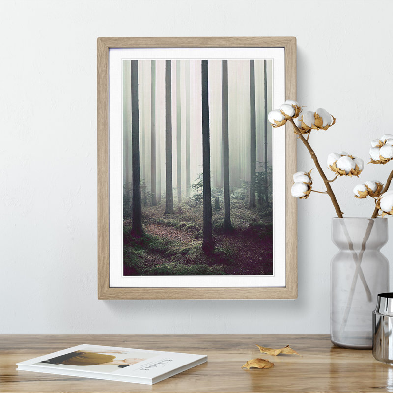 A Quiet Forest - Print, 66cm H x 48cm W x 2cm D, Oak Framed, White